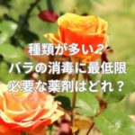 種類が多すぎて選べない？バラの消毒に最低限必要な薬剤はどれ？
