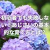 初心者でも失敗しない！あじさいの基本的な育て方とは？