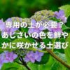 専用の土が必要？あじさいの色を鮮やかに咲かせる土選びとは？