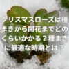 クリスマスローズは種まきから開花までどのくらいかかる？種まきに最適な時期とは？