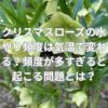 クリスマスローズの水やり頻度は気温で変わる？頻度が多すぎると起こる問題とは？