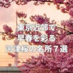 東京近郊で早春を彩る河津桜の名所７選